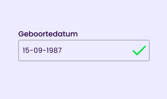 afbeelding-visuele-bevestiging-invoerveld.png