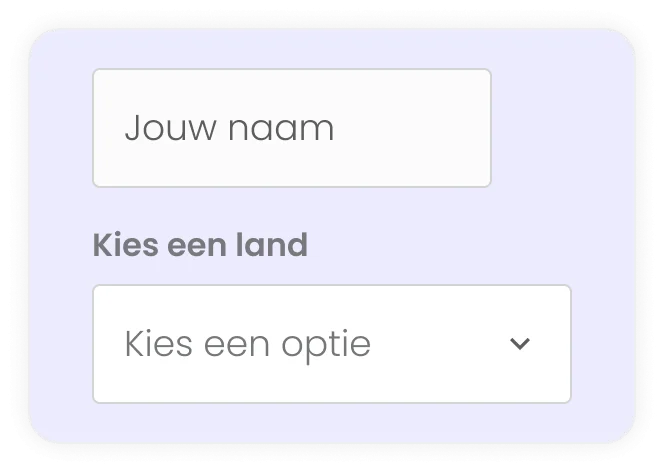 inconsistente invoervelden van formulier voorbeeld