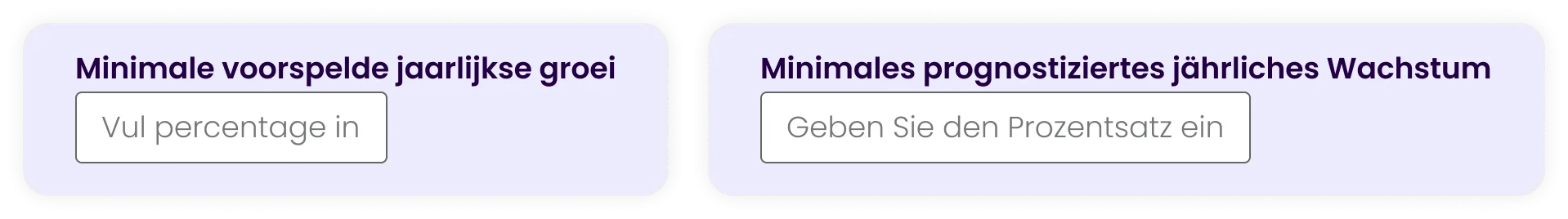 Meertalige formulieren op website voorbeeld