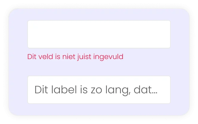 Voorbeeld slechte formulieren op website