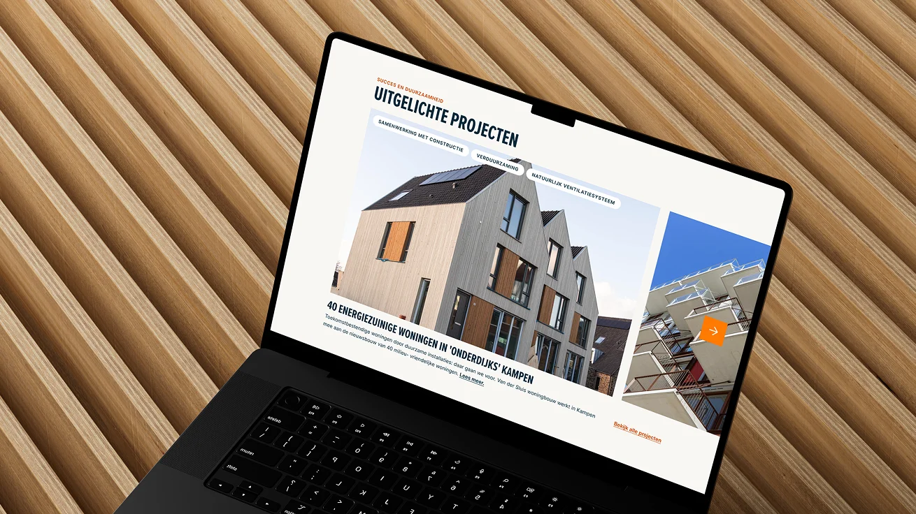 van der sluis website projectenpagina visueel